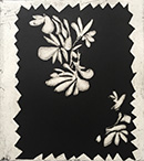 Carole Vanderlinden, etching